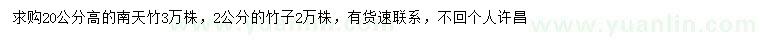 求购高20公分南天竹、2公分竹子