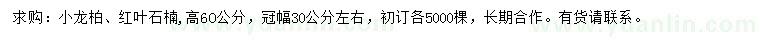 求购高60公分小龙柏、红叶石楠