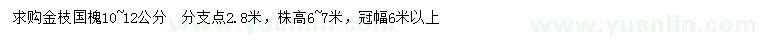 求购10-12公分金枝国槐