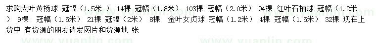 求购大叶黄杨球、红叶石楠球、金叶女贞球