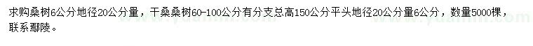 求购20公分量6公分桑树