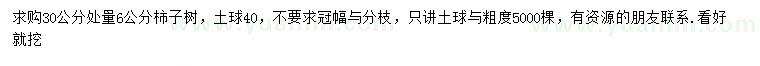 求购30公分量6公分柿子树