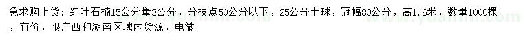 求购15公分量3公分红叶石楠