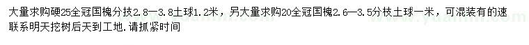 求购20、25公分国槐