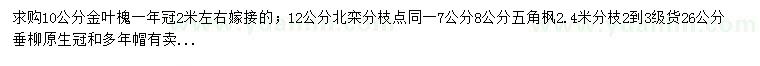 求购金叶槐、北栾、五角枫等