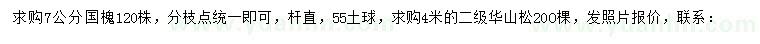 求购7公分国槐、4米华山松