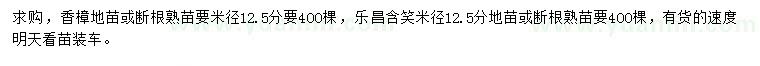 求购米径12.5公分香樟、米径12.5公分乐昌含笑