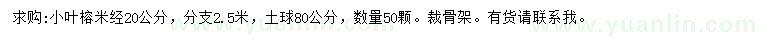 求购米径20公分小叶榕