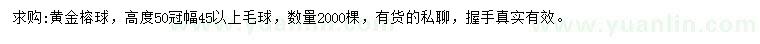 求购冠幅45公分以上黄金榕球