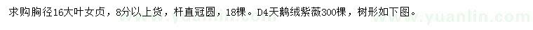 求购胸径16公分大叶女贞、地径4公分天鹅绒紫薇