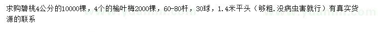 求购4公分碧桃、榆叶梅