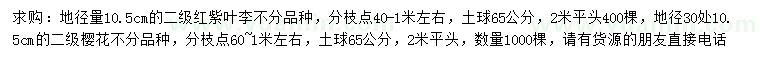 求购地径10.5公分红紫叶李、樱花