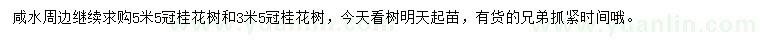 求购冠幅3.5、5.5公分桂花树