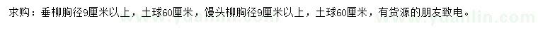 求购胸径9公分垂柳、馒头柳