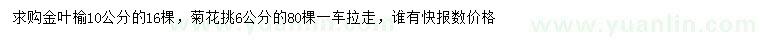 求购10公分金叶榆、6公分菊花桃