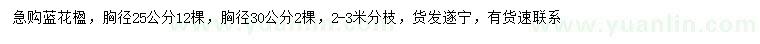 求购胸径25、30公分蓝花楹