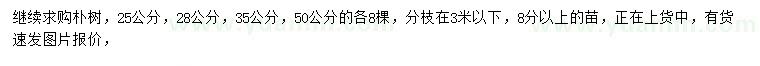 求购25、28、35、50公分朴树