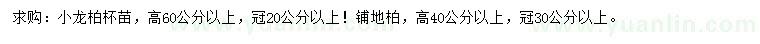 求购高60公分以上小龙柏、高40公分以上铺地柏