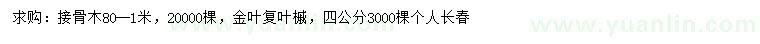 求购80公分-1米接骨木、4公分金叶复叶槭