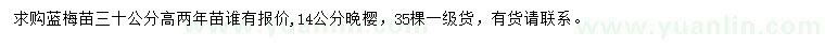 求购高30公分蓝梅、14公分晚樱