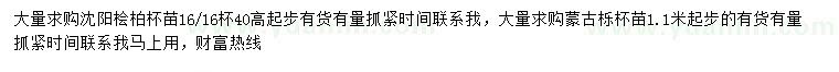 求购高40公分桧柏、1.1米起步蒙古栎