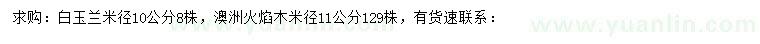求购米径10公分白玉兰、米径11公分澳洲火焰木