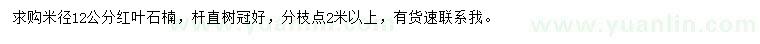 求购米径12公分红叶石楠