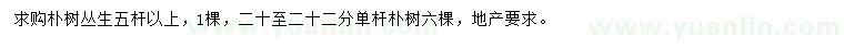 求购丛生朴树、20-22公分单杆朴树