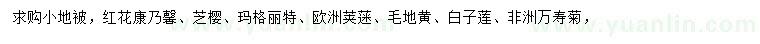 求购红花康乃馨、芝樱、玛格丽特等