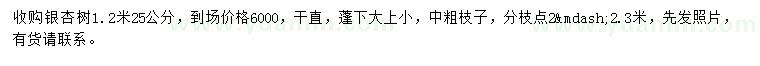 求购1.2米量25公分银杏树