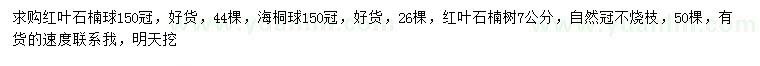 求购红叶石楠球、海桐球、红叶石楠