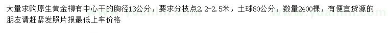 求购胸径13公分黄金柳