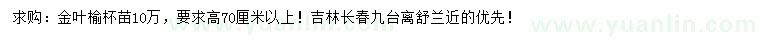 求购高70公分以上金叶榆