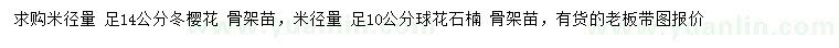 求购米径14公分冬樱花、米径10公分球花石楠