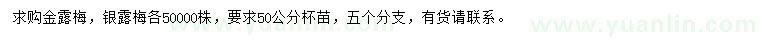 求购金露梅、银露梅