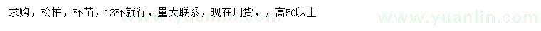 求购高50公分以上桧柏