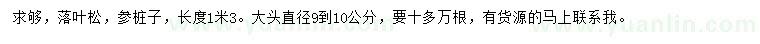 求购长1.3米落叶松、参桩子