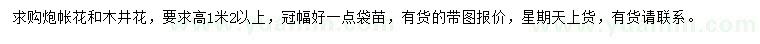 求购高1.2米以上炮帐花、木井花