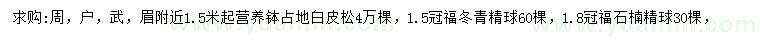 求购白皮松、冬青球、石楠球