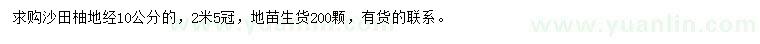 求购地径10公分沙田柚