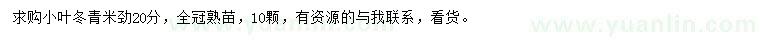 求购米径20公分小叶冬青