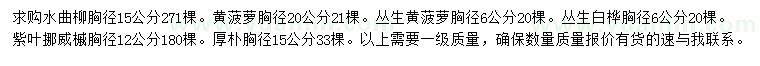 求购水曲柳、丛生黄菠萝、丛生白桦等