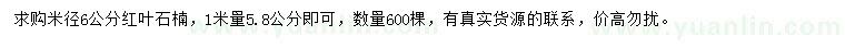 求购米径6公分红叶石楠树