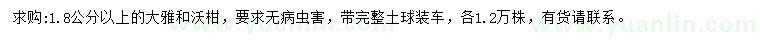 求购1.8公分以上大雅、沃柑