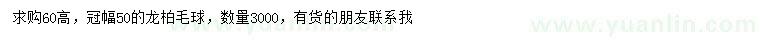 求购冠幅50公分龙柏球