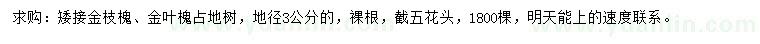 求购地径3公分金枝槐、金叶槐