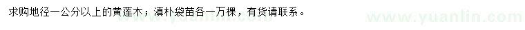 求购地径1公分以上黄莲木、滇朴