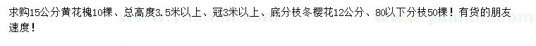 求购15公分黄花槐、12公分冬樱花