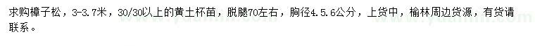 求购胸径4、5、6公分樟子松