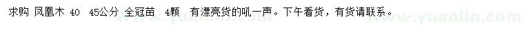 求购40、45公分凤凰木